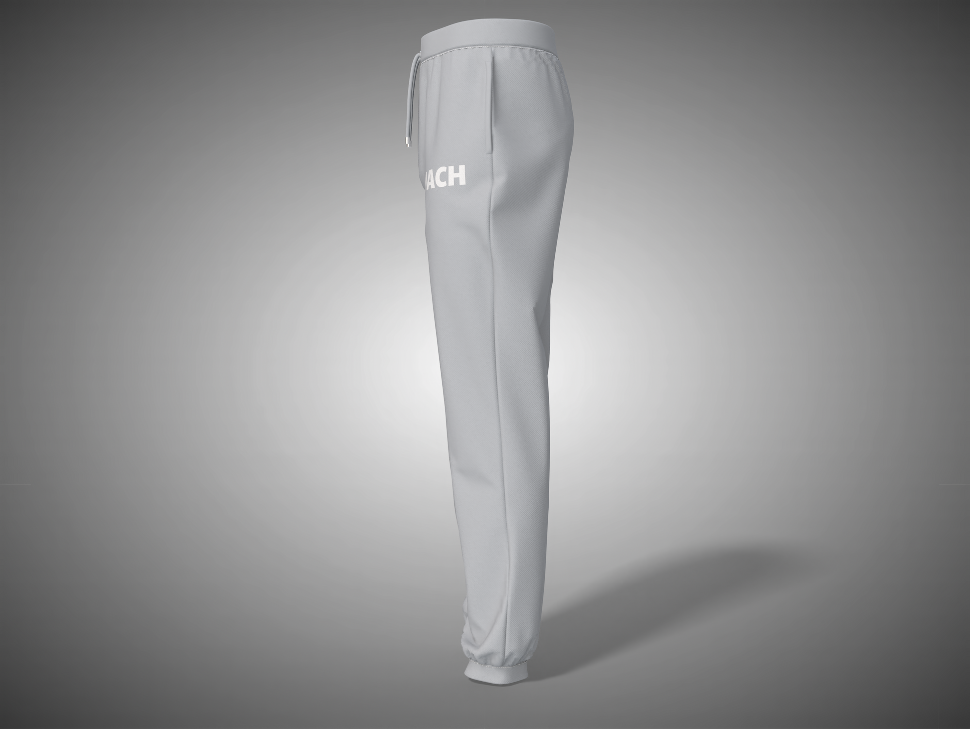 Gray sweatpants with a brand logo on a gray background
